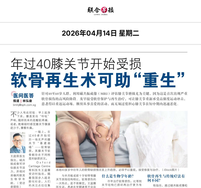 Lianhe Zaobao Feature on Early Cartilage Loss